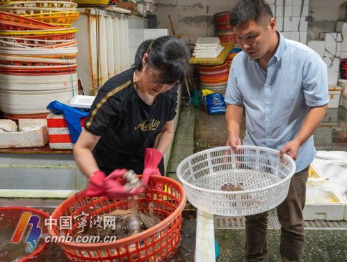 假期熱門海鮮價格跳水，消費者成最大贏家